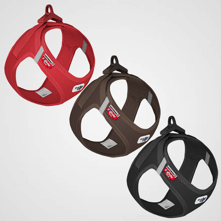 CURLI - Vest Clasp Softshell | Hundegeschirr (NEU 2022)