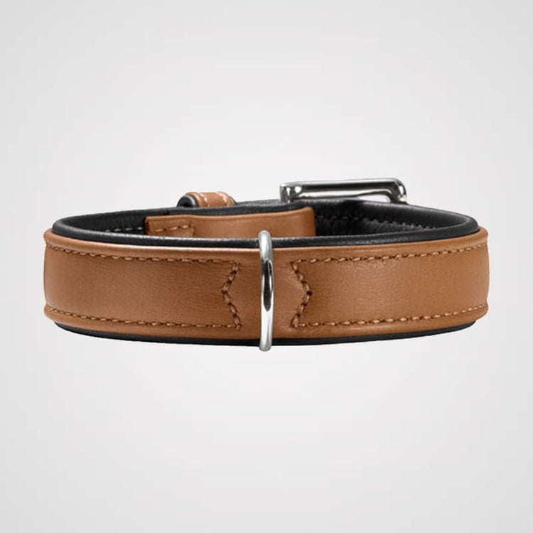 HUNTER - Canadian | Hundehalsband