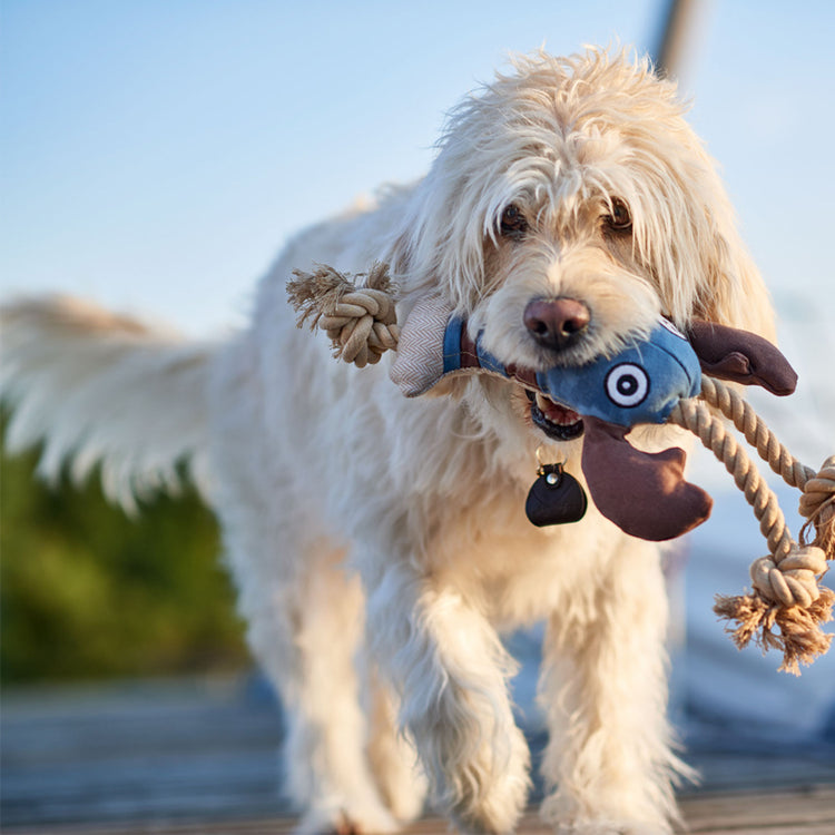 Canvas Sansibar Rantum Galerie 2