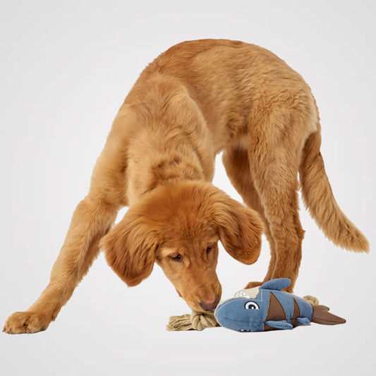 Canvas Sansibar Rantum Hai Produktbild