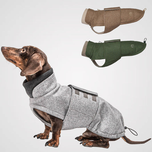 Cloud7 - Hundemantel Brooklyn | Hundewintermantel für Dackel