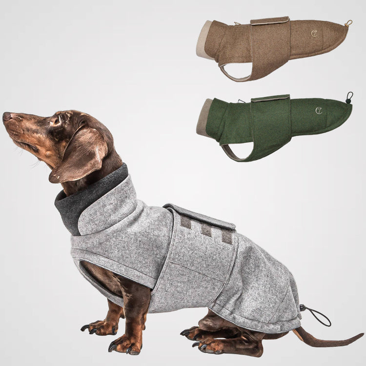 Cloud7 - Hundemantel Brooklyn | Hundewintermantel für Dackel