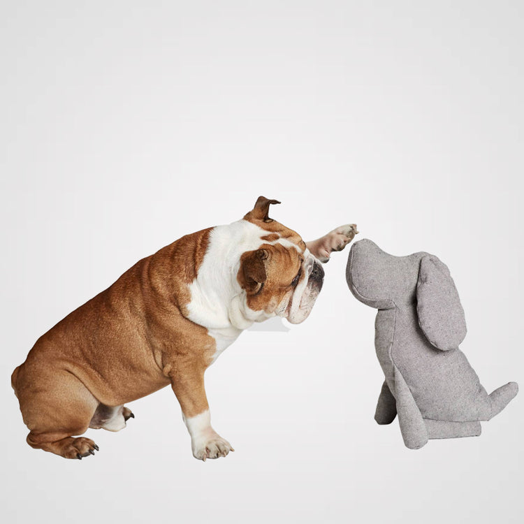 Cloud7 - Dekohund Johan | Dekoration für Hundefreunde & Co.