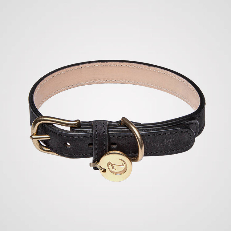Cloud7 - Halsband Tiergarten | Hundehalsband