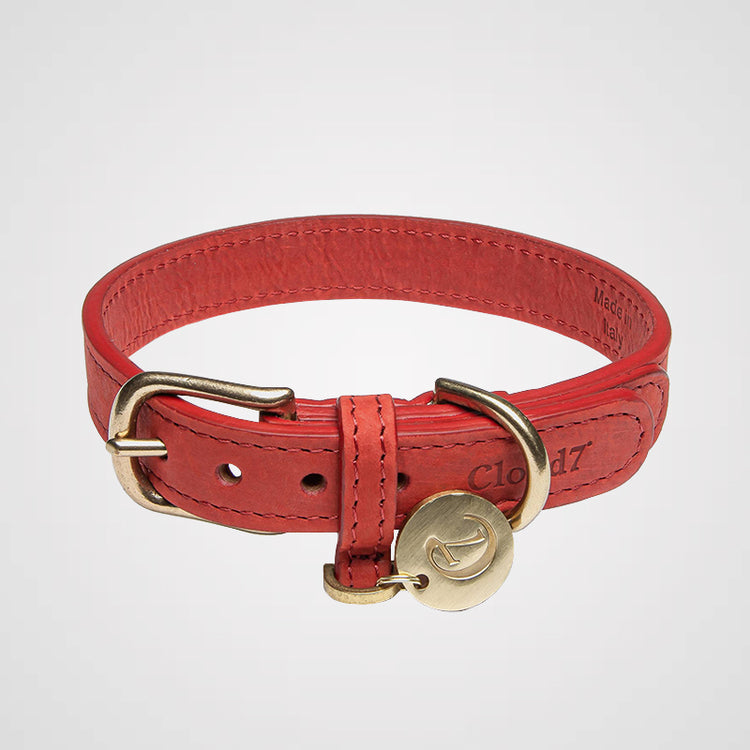 Cloud7 - Halsband Tiergarten | Hundehalsband