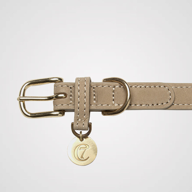 Cloud7 - Halsband Tiergarten | Hundehalsband