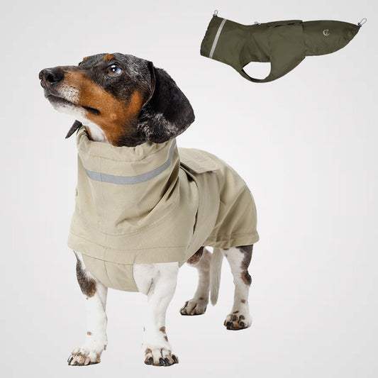 Cloud7 - Dackelmantel Hamburg | Regenmantel für Dackel