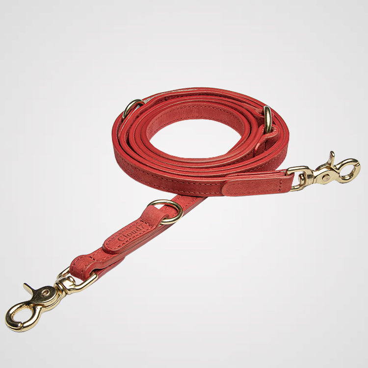 Cloud7 - Hundeleine Tiergarten | Verstellbare Führleine