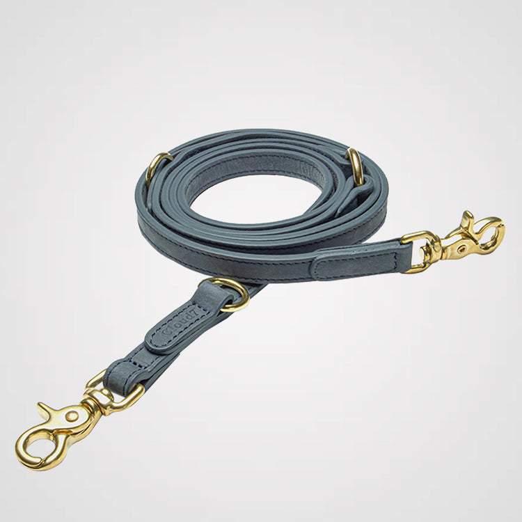 Cloud7 - Hundeleine Tiergarten | Verstellbare Führleine