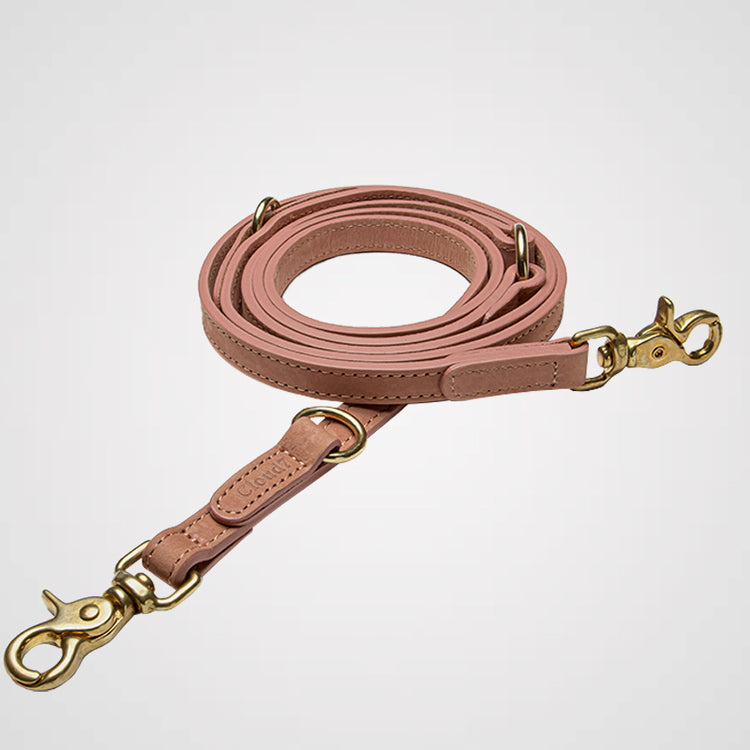 Cloud7 - Hundeleine Tiergarten | Verstellbare Führleine