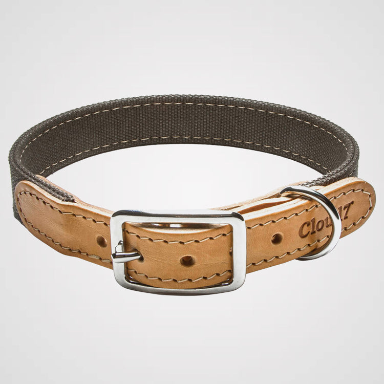 Cloud7 - Halsband Tivoli | Hundehalsband