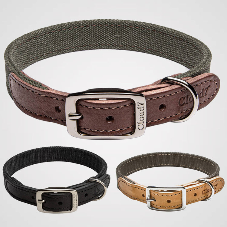 Cloud7 - Halsband Tivoli | Hundehalsband