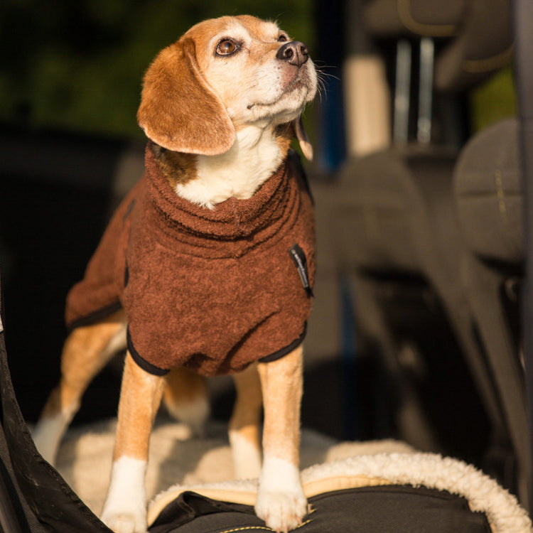 DRYUP cape Mini | Hundebademantel für kleine Hunde