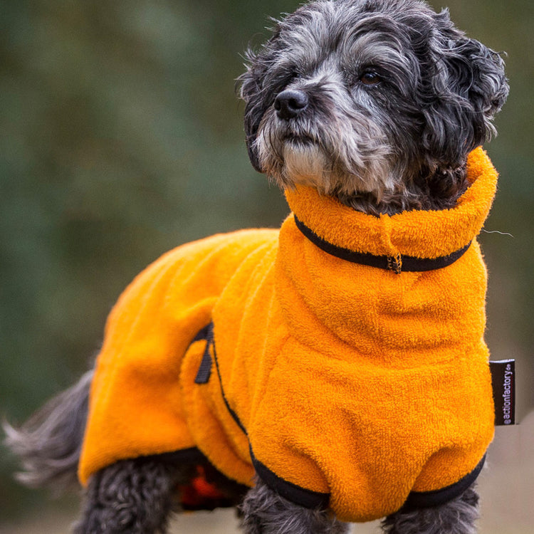 DRYUP cape Mini | Hundebademantel für kleine Hunde