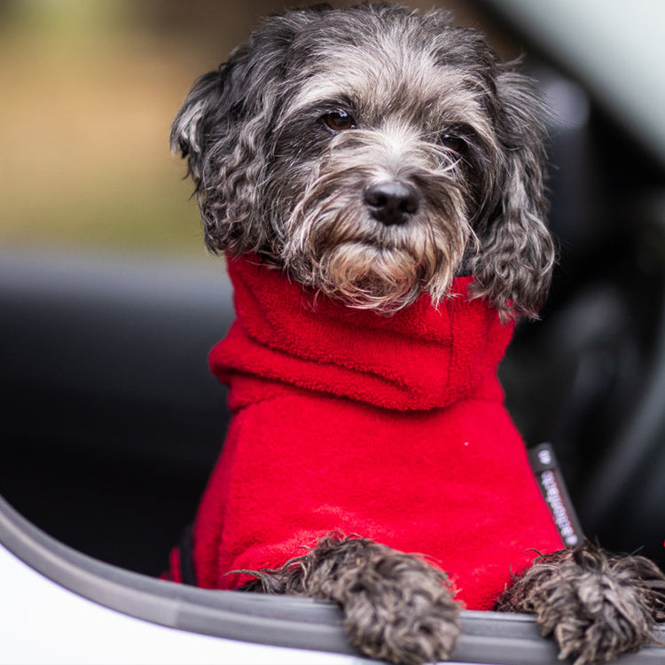 DRYUP cape Mini | Hundebademantel für kleine Hunde