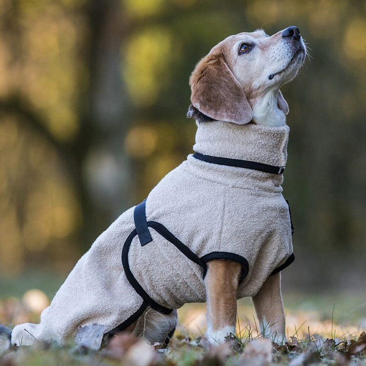 DRYUP cape Mini | Hundebademantel für kleine Hunde