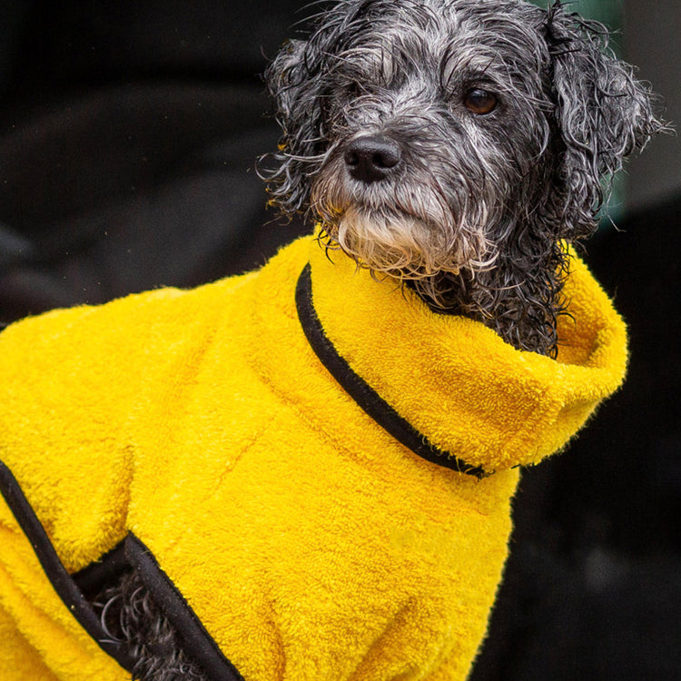 DRYUP cape Mini | Hundebademantel für kleine Hunde