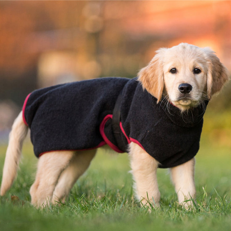 DRYUP cape Mini | Hundebademantel für kleine Hunde