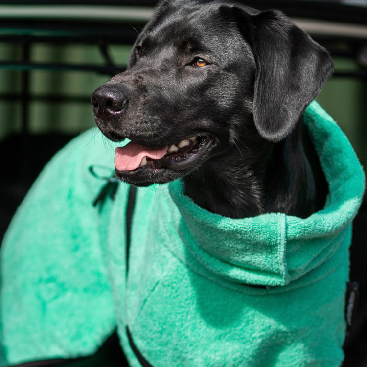 DRYUP cape | Hundebademantel - für große Hunde (Gr. L bis XXL)