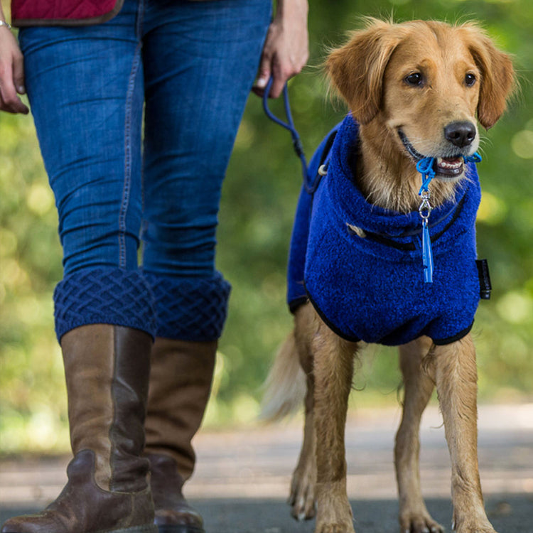 DRYUP cape | Hundebademantel - für große Hunde (Gr. L bis XXL)