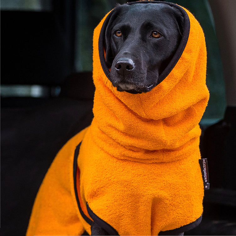 DRYUP cape | Hundebademantel - aus 100% Baumwoll-Frottee