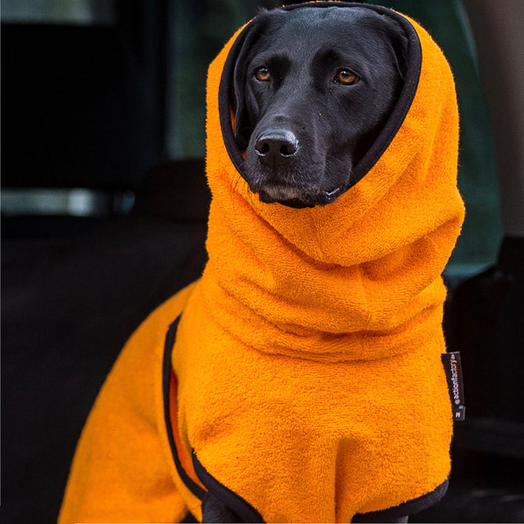DRYUP cape | Hundebademantel - für große Hunde (Gr. L bis XXL)