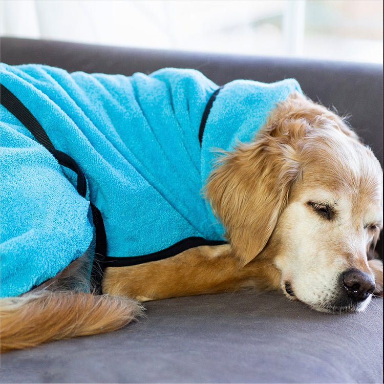 DRYUP cape | Hundebademantel - für große Hunde (Gr. L bis XXL)