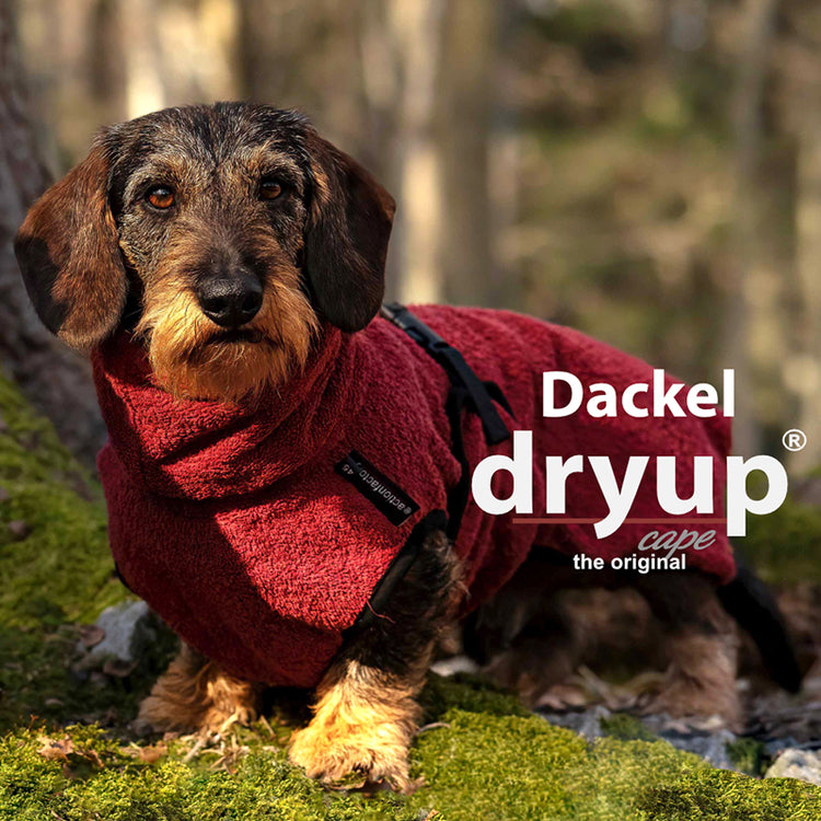 DRYUP cape Dackel & Co | Hundebademantel - mit angepasstem Schnitt für Dackel