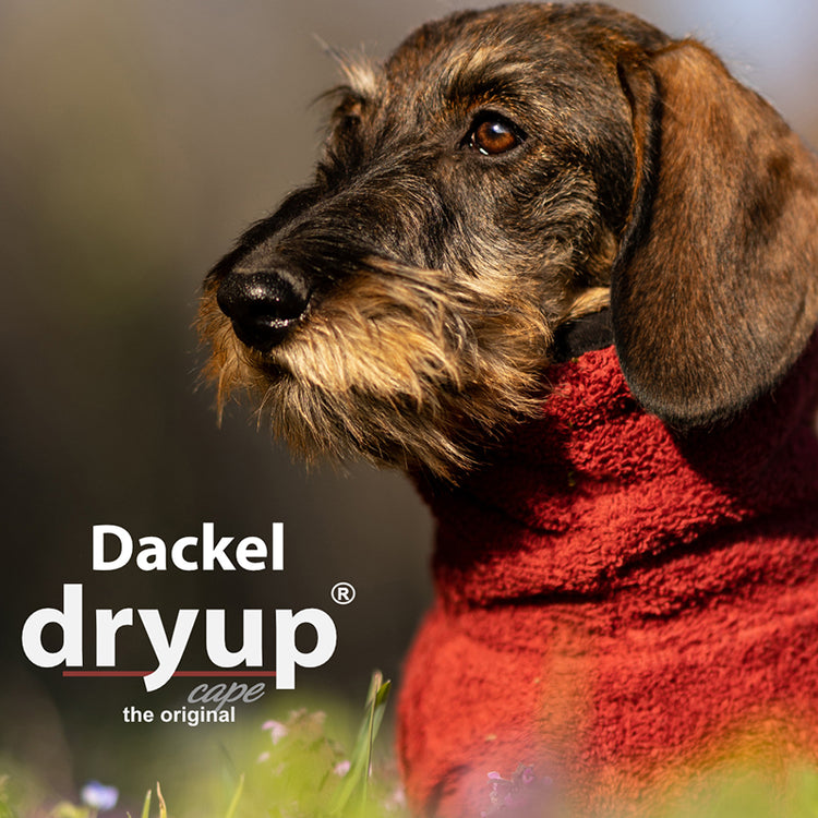 DRYUP cape Dackel & Co | Hundebademantel - mit angepasstem Schnitt für Dackel