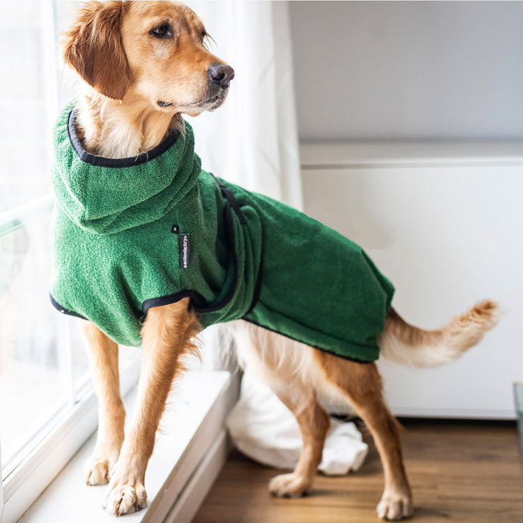 DRYUP cape | Hundebademantel - für große Hunde (Gr. L bis XXL)