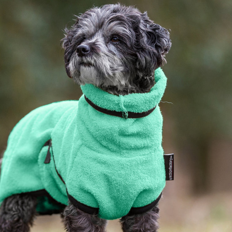 DRYUP cape Mini | Hundebademantel für kleine Hunde