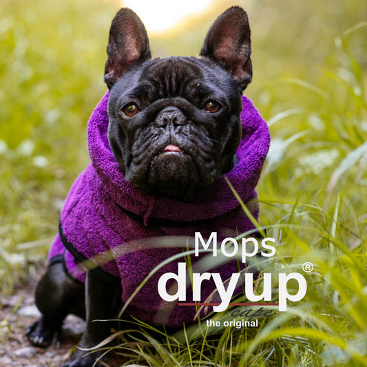 DryUp Cape Mops & Co | Hundebademantel - mit angepasstem Schnitt für Mops & Französische Bulldogge
