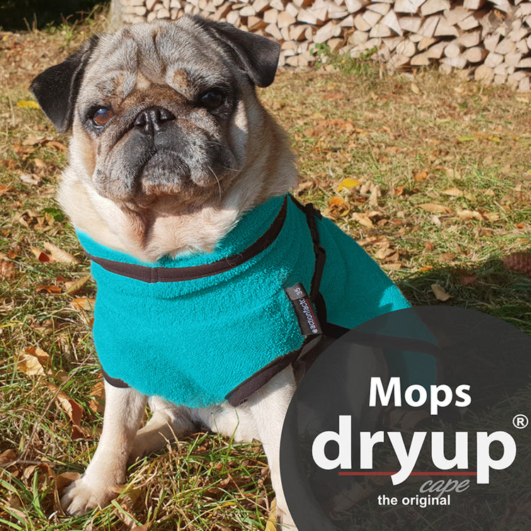 DryUp Cape Mops & Co | Hundebademantel - mit angepasstem Schnitt für Mops & Französische Bulldogge