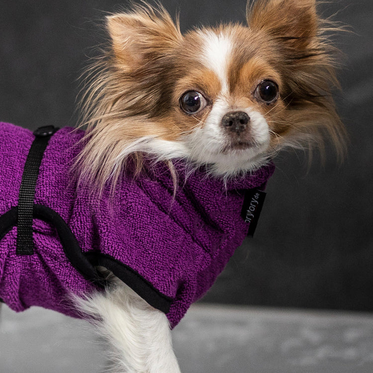 DRYUP cape Nano | Hundebademantel - für Chihuahua & Co.