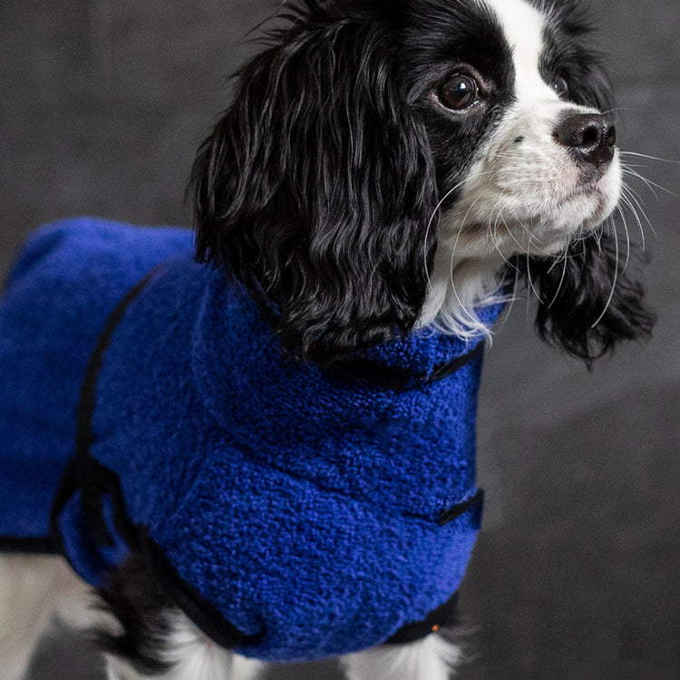 DRYUP cape Nano | Hundebademantel - für Chihuahua & Co.