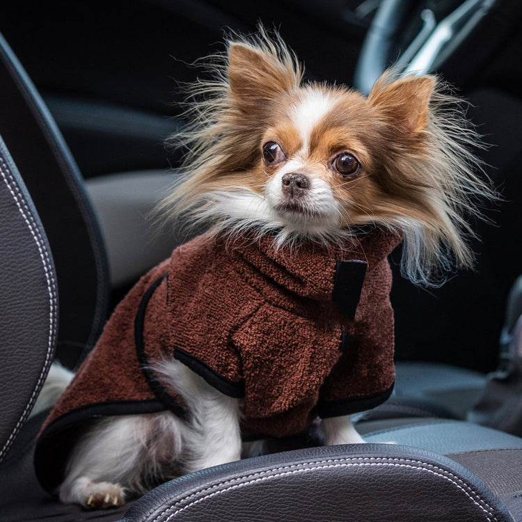 DRYUP cape Nano | Hundebademantel - für Chihuahua & Co.