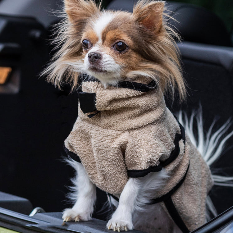 DRYUP cape Nano | Hundebademantel - für Chihuahua & Co.