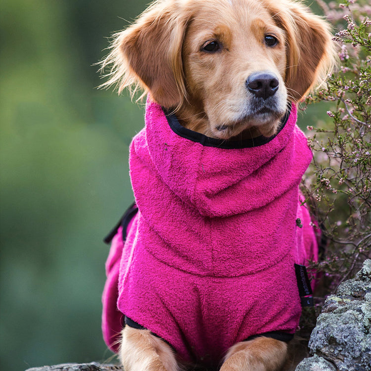 DRYUP cape | Hundebademantel - für große Hunde (Gr. L bis XXL)