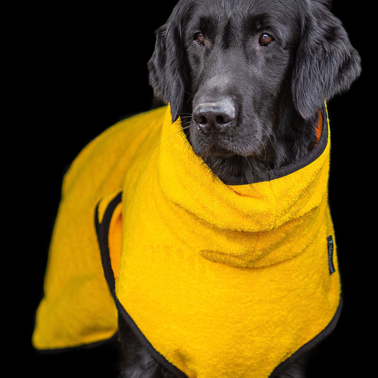 DRYUP cape | Hundebademantel - für große Hunde (Gr. L bis XXL)
