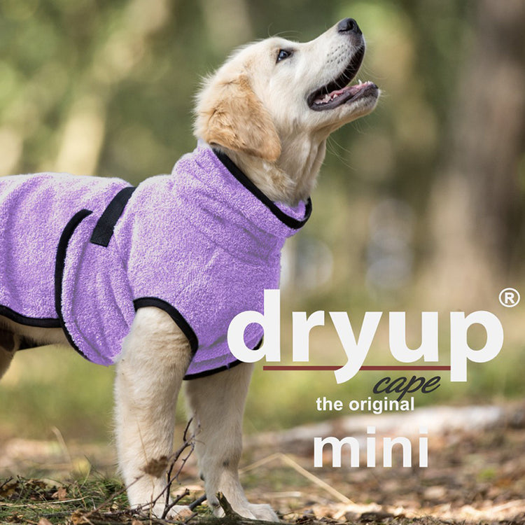 DRYUP cape Mini | Hundebademantel für kleine Hunde
