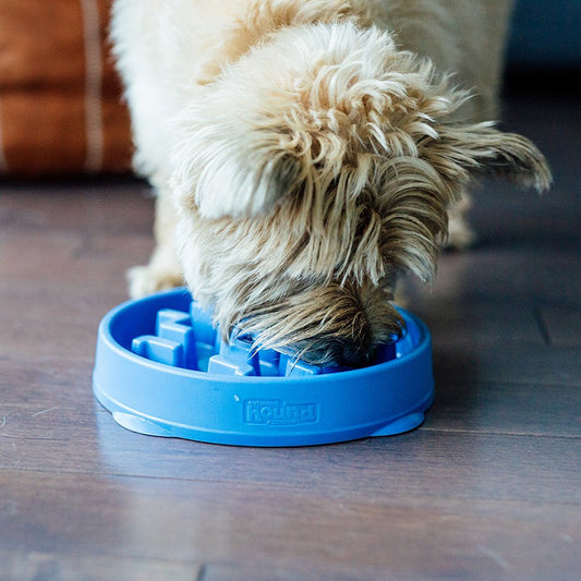 FUN FEEDER - Slo Bowl - Medium - Produktbild