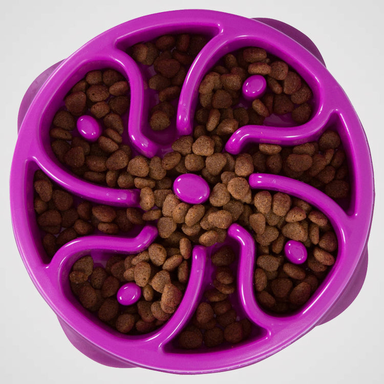 Outward Hound - FUN FEEDER SLO BOWL MEDIUM | Antischlingnapf für Deinen Hund