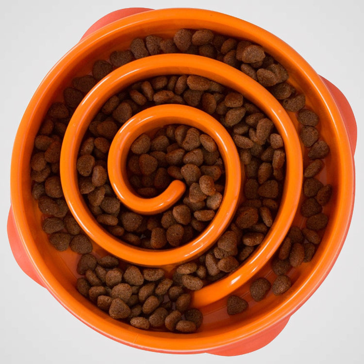 Outward Hound - FUN FEEDER SLO BOWL MEDIUM | Antischlingnapf für Deinen Hund