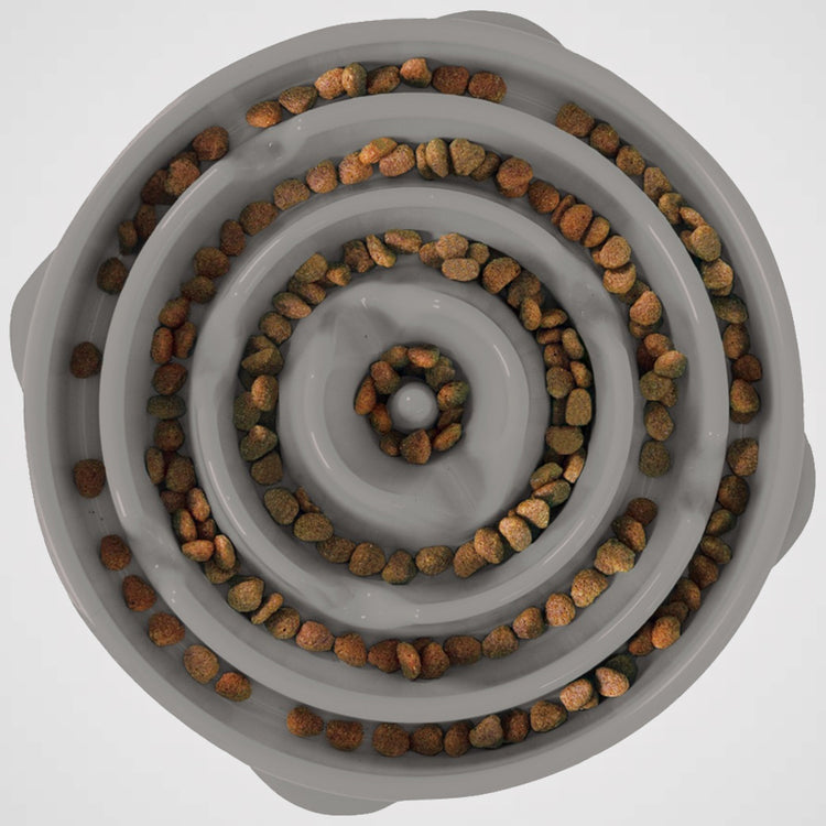 Outward Hound - FUN FEEDER SLO BOWL MEDIUM | Antischlingnapf für Deinen Hund