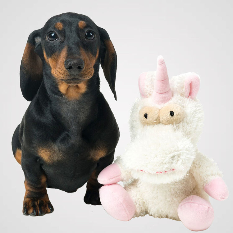 FUZZYARD Electra Einhorn Galerie 1