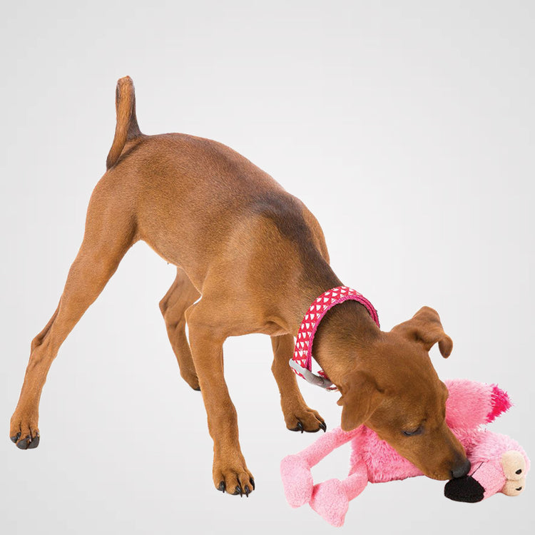 FUZZYARD Flo Flamingo - Galerie 3