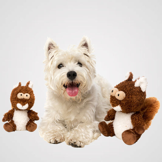 FUZZYARD Nuts Produktbild