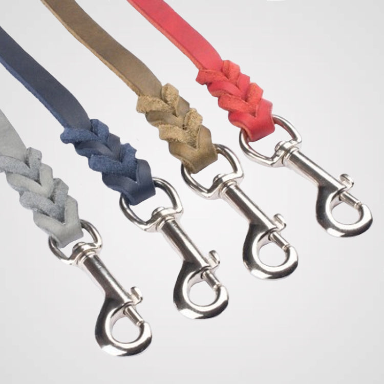 Fettlederleine Führleine Galerie 2