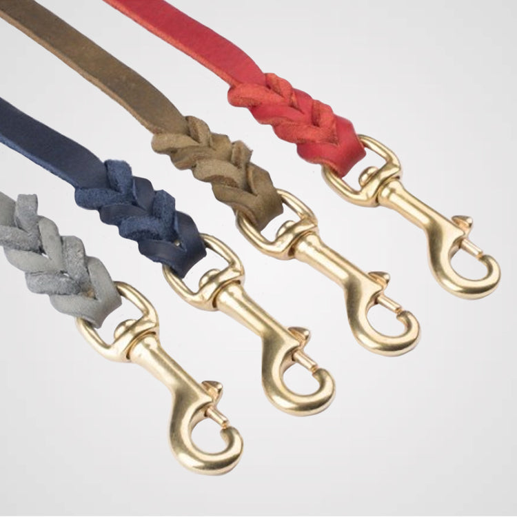 Fettlederleine Führleine Galerie 3