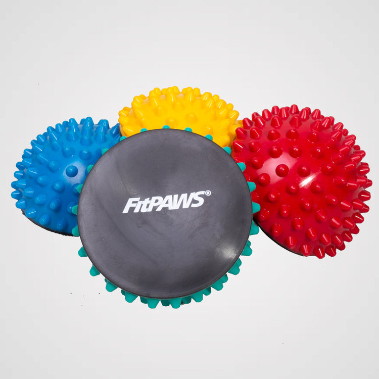 FitPAWS - Paw Pods (4er Pack) - Zubehör für Hundetraining